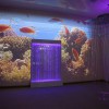 Проекционный дизайн "Виртуальная реальность" базовый комплект 500 анимаций - «globural.ru» - Нижний Тагил