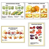 Плакаты ПРОФТЕХ "Ассортимент овощных культур" (12 пл, винил, 70х100) - «globural.ru» - Нижний Тагил