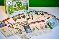 Гербарий к курсу основ общей биологии - «globural.ru» - Нижний Тагил