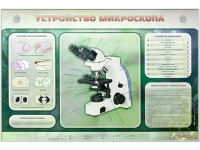 Электрифицированный стенд "Устройство микроскопа и правила работы c ним" - «globural.ru» - Нижний Тагил