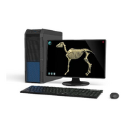 Макет масштабный «Скелет Лошади» Масштаб 1:2 - «globural.ru» - Нижний Тагил