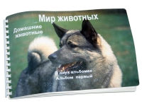 Пособие для слабовидящих "Домашние животные" - «globural.ru» - Нижний Тагил
