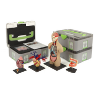 Учебный набор "Анатомия в деталях" - «globural.ru» - Нижний Тагил