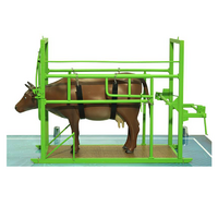 Наглядный макет «Методы и устройства для фиксации КРС» - «globural.ru» - Нижний Тагил