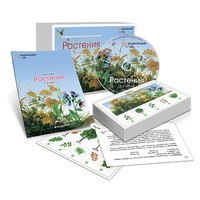 Комбинированное наглядное пособие «Растения» - «globural.ru» - Нижний Тагил