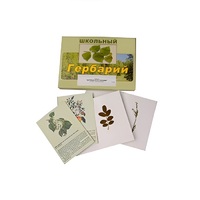 Гербарий "Деревья и кустарники" (22 вида, с иллюстрациями) - «globural.ru» - Нижний Тагил