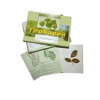 Гербарий "Дикорастущие растения" (30 видов, с иллюстрациями) - «globural.ru» - Нижний Тагил