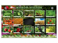 Комплект оборудования "Живой уголок" (растения) - «globural.ru» - Нижний Тагил