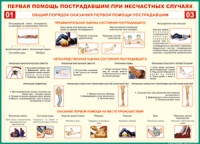  Таблица Общий порядок оказания первой помощи пострадавшим 1000*1400 винил	 - «globural.ru» - Нижний Тагил