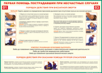 Таблица Порядок действий при внезапной смерти 1000*1400 винил - «globural.ru» - Нижний Тагил