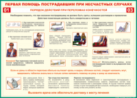 Таблица Порядок действий при переломах конечностей 1000*1400 винил - «globural.ru» - Нижний Тагил