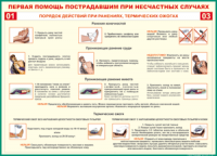 Таблица Порядок действий при ранениях и термических ожогах	 1000*1400 винил - «globural.ru» - Нижний Тагил
