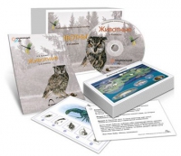 Комбинированное наглядное пособие «Животные» - «globural.ru» - Нижний Тагил