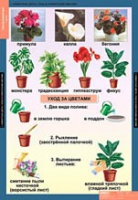 Окружающий мир 1 класс (комплект таблиц) - «globural.ru» - Нижний Тагил