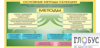 Стенд "Методы селекции и биотехнологии" - «globural.ru» - Нижний Тагил