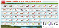 Стенд "Красная книга РФ" - «globural.ru» - Нижний Тагил
