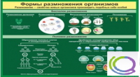 Стенд "Формы размножения организмов" - «globural.ru» - Нижний Тагил