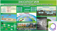 Стенд "Экология. Антропогенное воздействие на биосферу" - «globural.ru» - Нижний Тагил