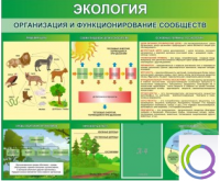 Стенд "Экология. Организация и функционирование сообществ" - «globural.ru» - Нижний Тагил