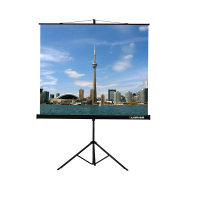 Проекционный экран на штативе Lumien Eco View (LEV-100105) 160x160 см - «globural.ru» - Нижний Тагил