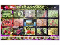 Комплект оборудования "Живой уголок" (растения) с тифлопереводом и сурдокомментариями - «globural.ru» - Нижний Тагил