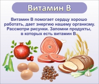 Стенд "Витамин В" - «globural.ru» - Нижний Тагил