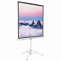 Экран на штативе DSKD-1103 - «globural.ru» - Нижний Тагил
