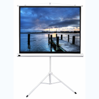 Экран на штативе DSKD-4302 - «globural.ru» - Нижний Тагил
