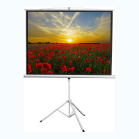 Экран на штативе DSKD-4303 - «globural.ru» - Нижний Тагил