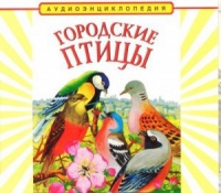 CD "Аудиоэнциклопедия. Городские птицы" - «globural.ru» - Нижний Тагил