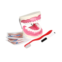 Игровой комплект "Чистим зубы" - «globural.ru» - Нижний Тагил