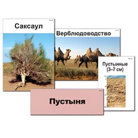 Модель-аппликация "Природные зоны России" - «globural.ru» - Нижний Тагил