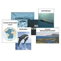 Модель-аппликация "Океаны. Знакомство" (ламинированная) - «globural.ru» - Нижний Тагил