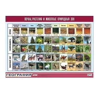 Таблица демонстрационная "Почвы, растения и животные природных зон" (винил 100x140) - «globural.ru» - Нижний Тагил