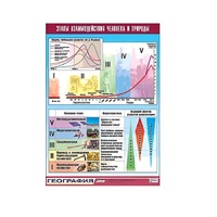Таблица демонстрационная "Этапы взаимодействия человека и природы" (винил 100x140) - «globural.ru» - Нижний Тагил