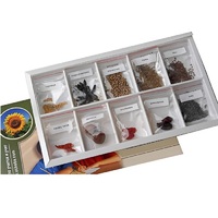 Коллекция "Плоды сельскохозяйственных растений" (вариант 2) - «globural.ru» - Нижний Тагил