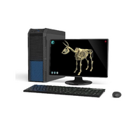 Макет масштабный «Скелет Коровы» Масштаб 1:2 - «globural.ru» - Нижний Тагил