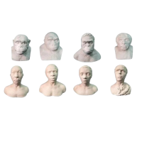 Набор палеонтологических муляжей - «globural.ru» - Нижний Тагил