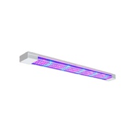 Фитолампа - «globural.ru» - Нижний Тагил