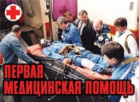 Комплект плакатов "Первая медицинская помощь" - «globural.ru» - Нижний Тагил