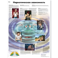 Плакат "Наркотическая зависимость", ламинированный, 50*67 см - «globural.ru» - Нижний Тагил