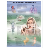 Плакат "Никотиновая зависимость", ламинированный, 50*67 см - «globural.ru» - Нижний Тагил