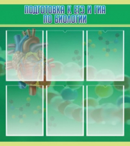 Стенд "Подготовка к ЕГЭ и ОГЭ по биологии" (вариант 1) - «globural.ru» - Нижний Тагил