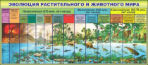 Стенд "Эволюция растительного и животного мира" - «globural.ru» - Нижний Тагил