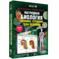 Наглядная биология. Человек. Строение тела человека - «globural.ru» - Нижний Тагил