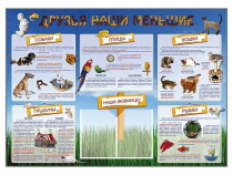 Стенд-уголок "Друзья наши меньшие" - «globural.ru» - Нижний Тагил