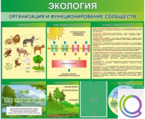 Стенд "Экология. Организация и функционирование сообществ" - «globural.ru» - Нижний Тагил