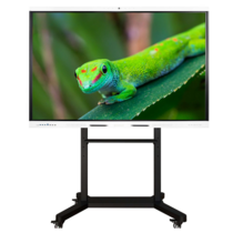 Интерактивный комплекс Geckotouch ​​​​​​​65RK - «globural.ru» - Нижний Тагил