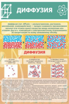 Стенд "Диффузия" - «globural.ru» - Нижний Тагил