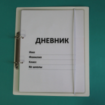 Дневник школьника (с полным набором карточек) - «globural.ru» - Нижний Тагил